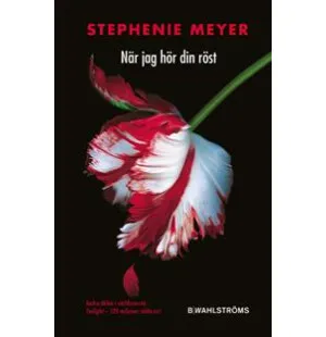 NÄR JAG HÖR DIN RÖST kuva