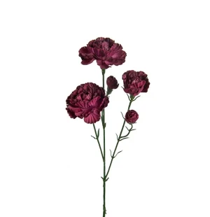 Elegance nejlika röd, 65cm image