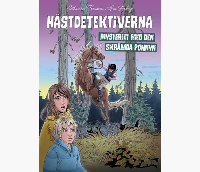 HASTDETEKTIVERNA MYSTERIET MED DEN SKRAMDA PONNYN image