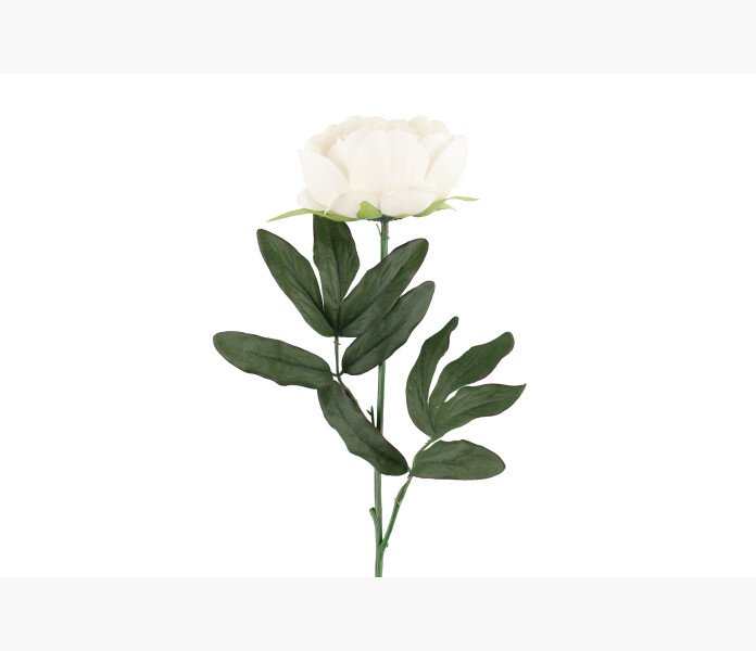 4Living Peony white2 image