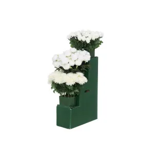 4Living Peony white image