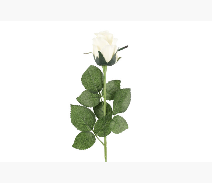4Livng Rose white1 image