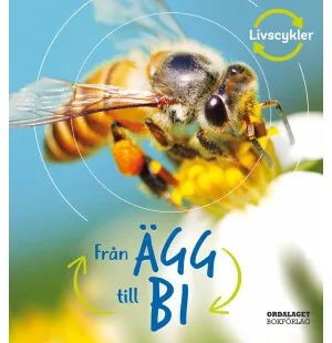FRÅN ÄGG TILL BI kuva