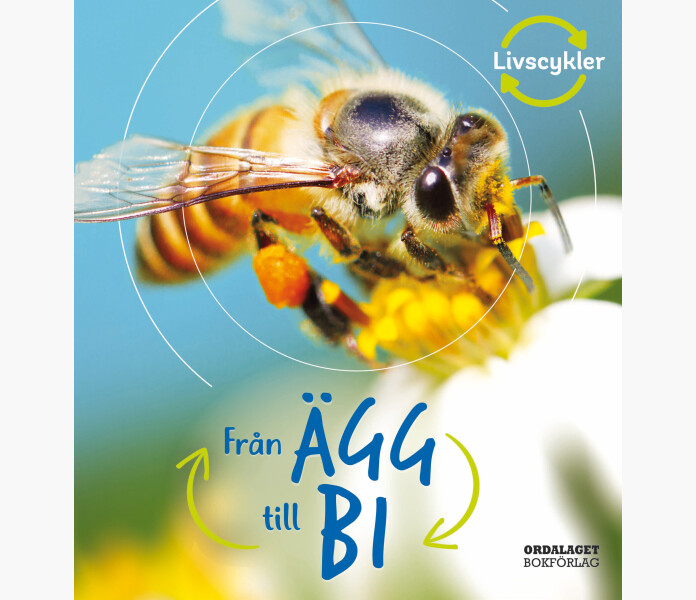 Fran agg till bi image