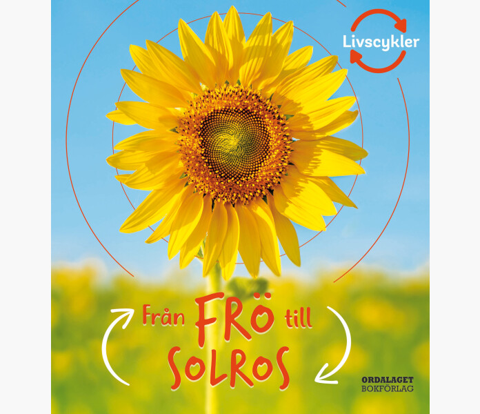 Fran fro till solros image