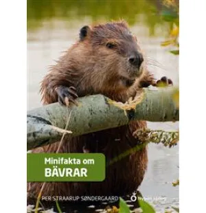 Minifakta om bävrar image