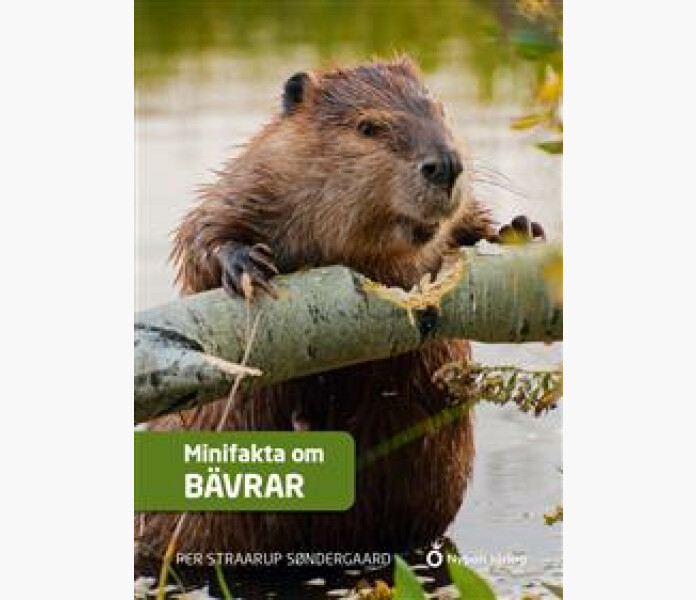 Minifakta om bavrar image