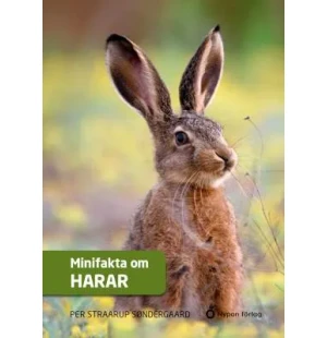 Minifakta om harar, 6-9år image