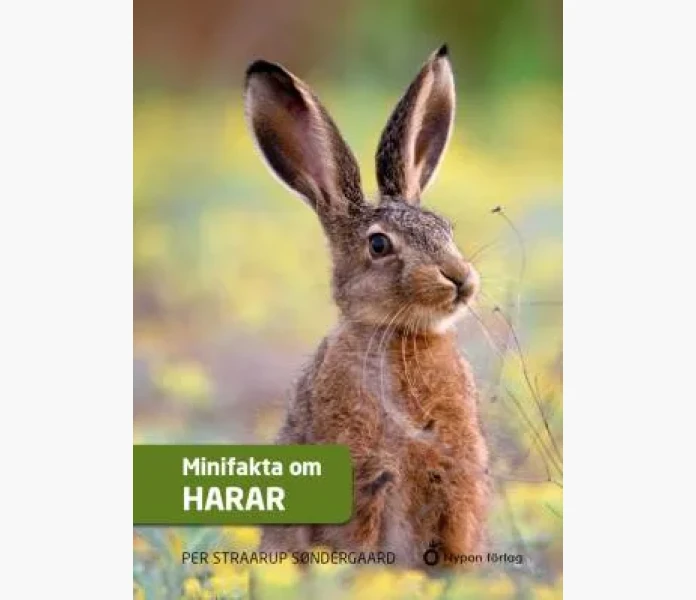 harar image