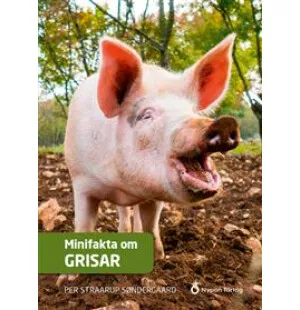 Minifakta om grisar image