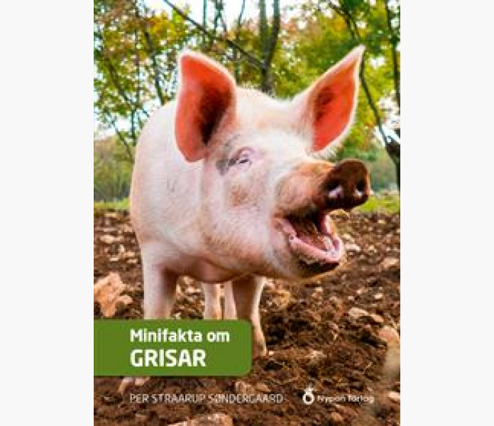 Minifakta om grisar image