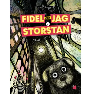 FIDEL OCH JAG I STORSTAN kuva
