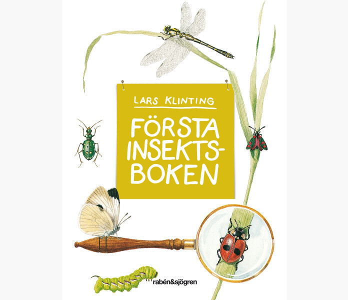 FORSTA INSEKTBOKEN image