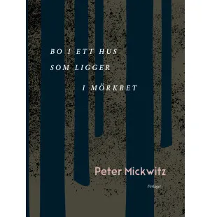 Bo i ett hus som ligger i mörknet kuva