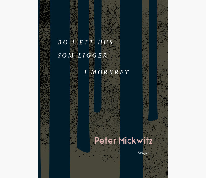 Bo i ett hus som ligger i morknet kuva