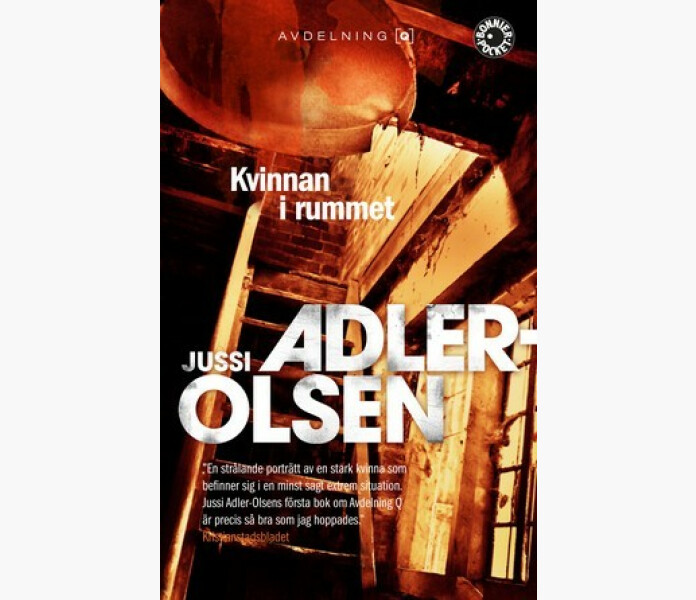 KVINNAN I RUMMET image