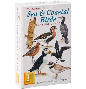 Kortlek Fågel Sea kuva