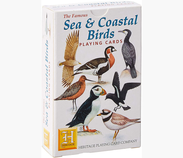 Kortlek Fagel Sea kuva