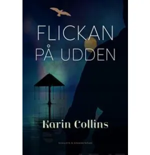 Flickan på udden image
