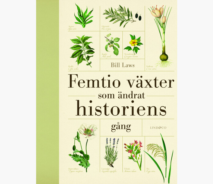 Femtio vaxter som andrat historiens gang kuva