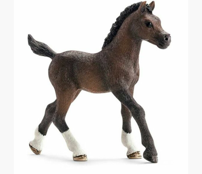 Schleich Arabfol image