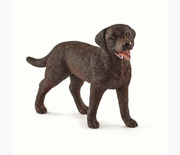 Schleich Labrador Retriver hona image