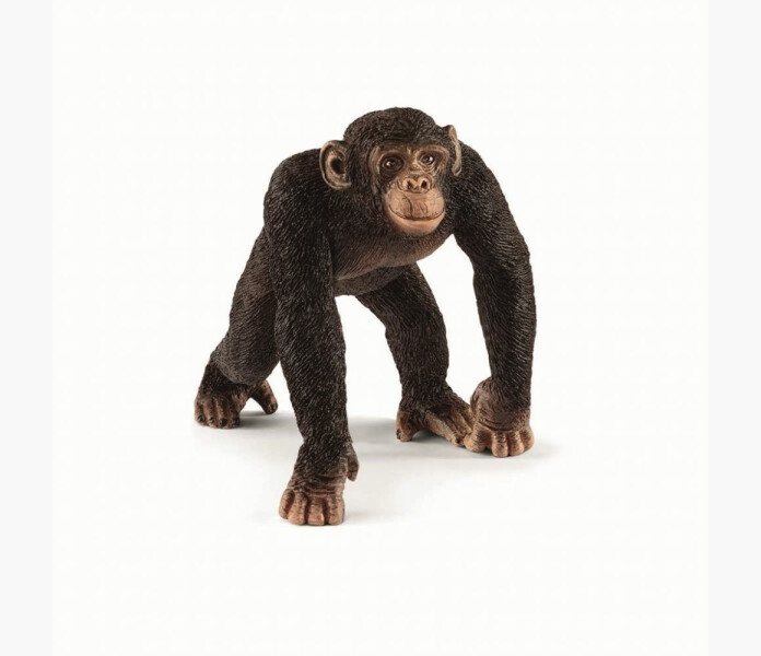 Schleich schimpanshane image
