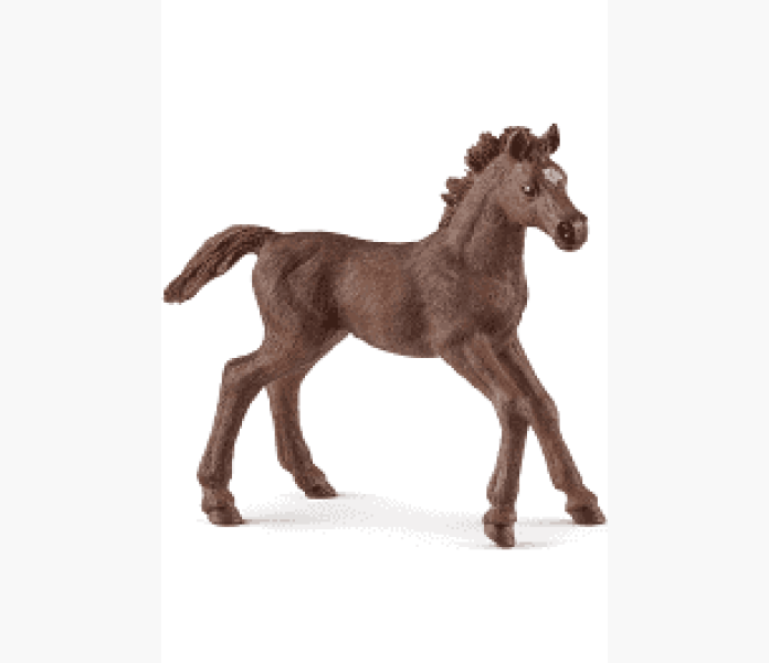 Schleich Engelskt fullblodsfol image