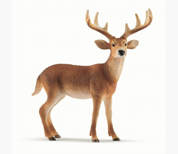 Schleich Vitsvanshjort bock image