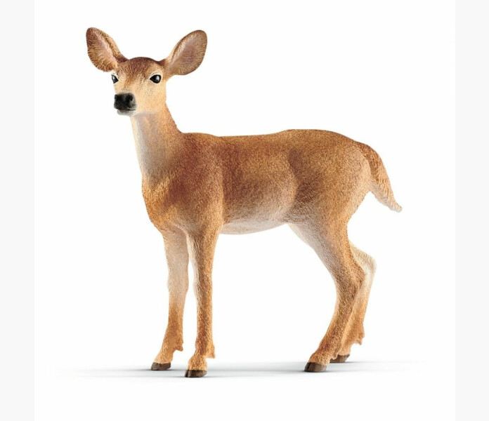 Schleich vitsvanshjort hona image