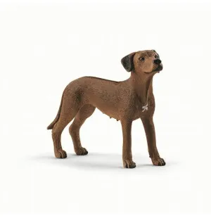 Schleich Rhodesian Ridgeback image