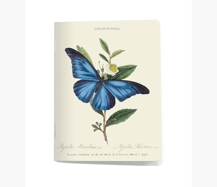 John Nurminen Hafte fjaril 9x12 kuva