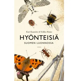 Hyönteisiä Suomen luonnossa kuva