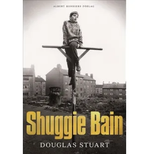 Shuggie Bain image