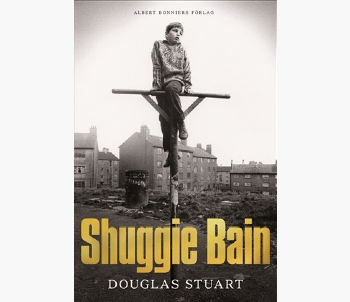 Shuggie Bain image