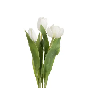 Tulpan mix vit 36cm image