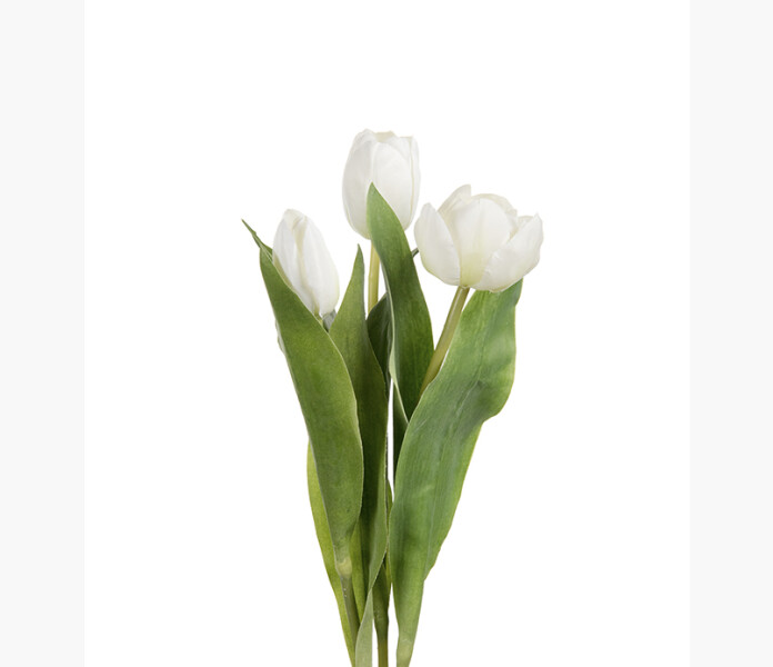 Tulpan mix vit 36cm image