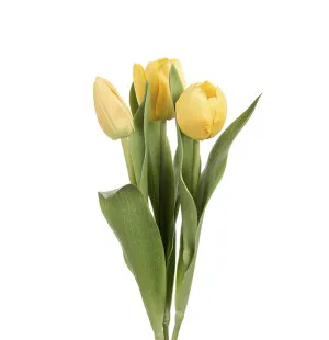 Tulpan mix gul 36cm image