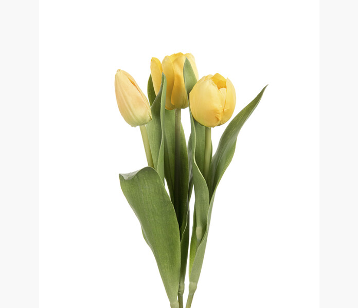 Tulpan mix gul 36cm image