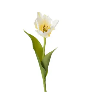 Tulpan vit 37cm image