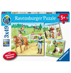 Pussel A day at the stables 3x49 bitar 5+ image