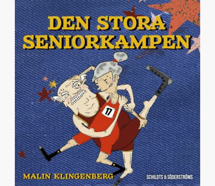 Den stora seniorkampen image