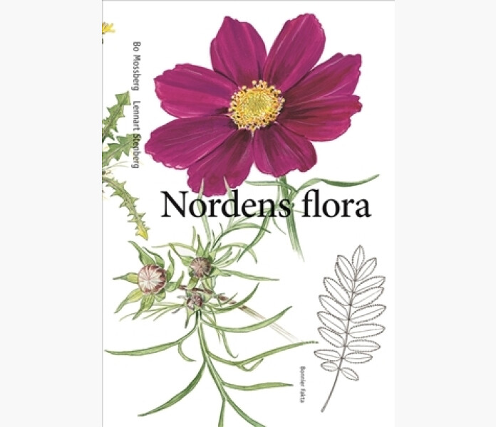 Nordens flora kuva