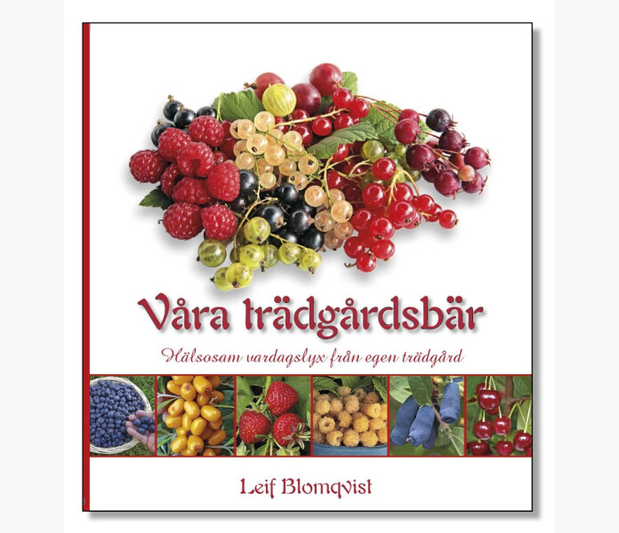 Vara tradgardsbar halsosam vardagslyx fran egen tradgarg. kuva