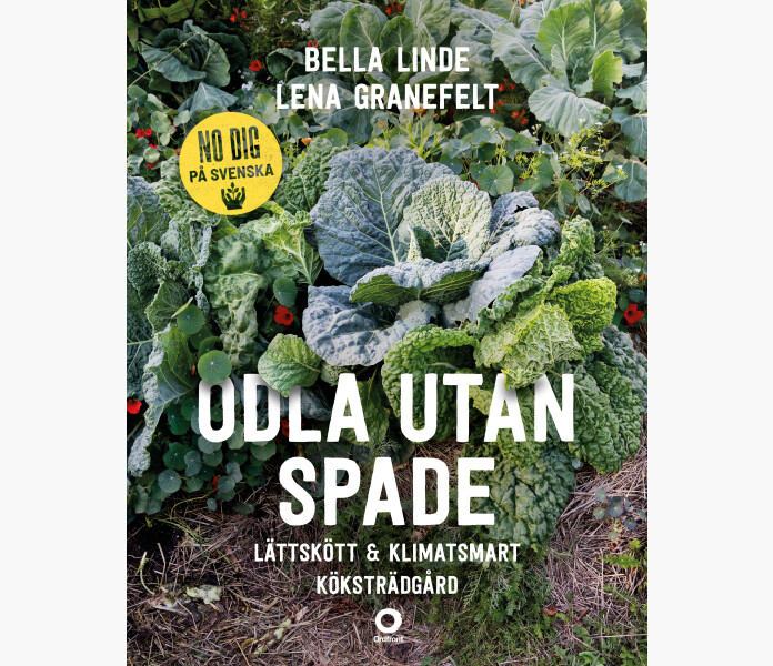 Odla utan spade. Lattskott klimatsmart kokstrad kuva