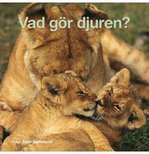 Vad gör djuren? kuva