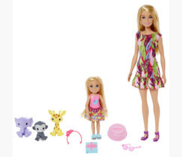 Barbie Chelsea The lost birthday image