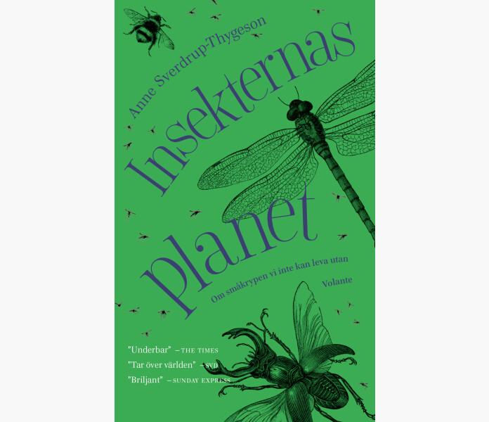 Insekternas planet kuva