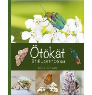 Ötökät lähiluonnossa kuva