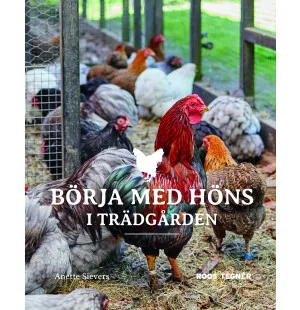 Börja med höns i trädgården kuva